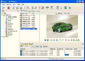 Screenshot of GetWebPics Pro