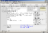 Screenshot of InfoMail Editor