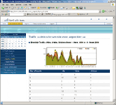 Screenshot of Site Traffic Stats Engine MySQL Edition