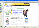 Screenshot of SiteSpinner