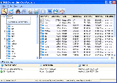 Screenshot of Disk Doctors Linux Data Recovery