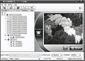 Screenshot of dvdXsoft DVD to iPod Converter Pro