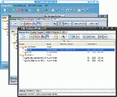 Screenshot of File Backup Watcher Lite Edition