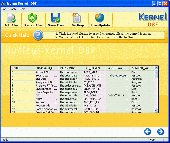 Screenshot of Nucleus Kernel DBF Repair Software