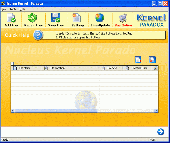 Screenshot of Nucleus Kernel Paradox Database Repair