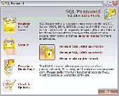 Screenshot of SQL Password