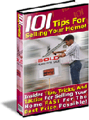 Screenshot of 101 Tips To Sell Your Own Home
