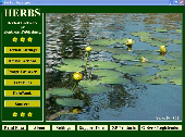Screenshot of Herbs