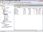 Screenshot of EngInSite MySQL Client