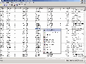 Screenshot of The Query Tool 2005