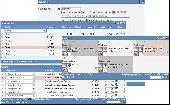 WebGrid DataGrid/Graphs/WYSIWYG html editor Screenshot