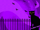 Cat and Bats Halloween Wallpaper Screenshot