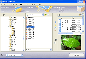 Screenshot of ReaConverter Pro - advanced image converter