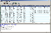 Screenshot of MSN Protocol Analyzer