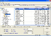 File Renamer 2005 Screenshot