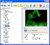 Screenshot of IdleScreen Organizer