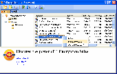 P-Encryption Lite Screenshot