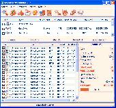 SBMAV Disk Cleaner Lite Screenshot