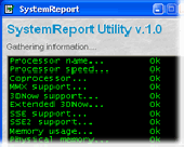 Screenshot of SystemReport