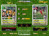 32 Cards World Cup Edition Screenshot