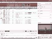 Screenshot of AVCWare Video Converter Platinum