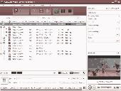 Screenshot of AVCWare Video Converter Ultimate