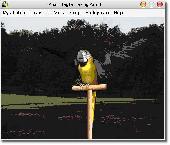 AV Digital Talking Parrot Screenshot