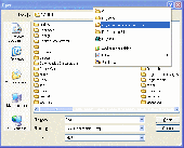 Screenshot of Access Folders