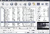 Screenshot of Agile DVD to WMV Converter