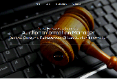 Auction Information Manager Screenshot