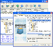 Screenshot of Backup Platinum