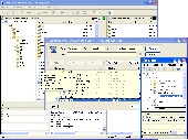 Screenshot of BitKinex FTP Client