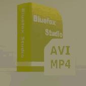 Bluefox AVI MP4 Converter Screenshot