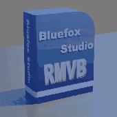 Bluefox RMVB to X converter Screenshot
