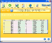 Screenshot of DBF Database Recovery Tool