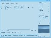 DDVideo DVD to Pocket PC Converter Gain Screenshot