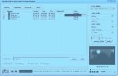 DDVideo SWF to Sansa Media Converter Standard Screenshot