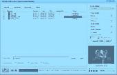 Screenshot of DDVideo SWF to iRiver Converter Standard
