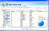 Screenshot of Database Recovery