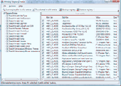 Delones Registry Cleaner Screenshot