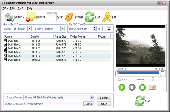 Screenshot of Ease DVD Ripper