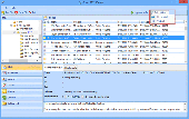 Exchange OST File Viewer Screenshot