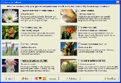 Fancy Cactus Emulator Screenshot