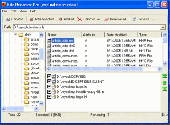 File Renamer Pro Screenshot