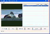 Flash to Video Converter Screenshot