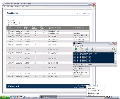 Screenshot of Flexi-Server Corporate Management