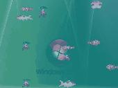Free Desktop Fish Wallpaper Screenshot