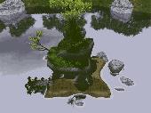 Screenshot of Free Tree 3D Screensaver