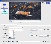 Screenshot of GIF to Flash Converter