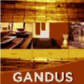 Gandus Portfolio Template Screenshot
